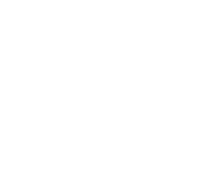 Logo Magavi